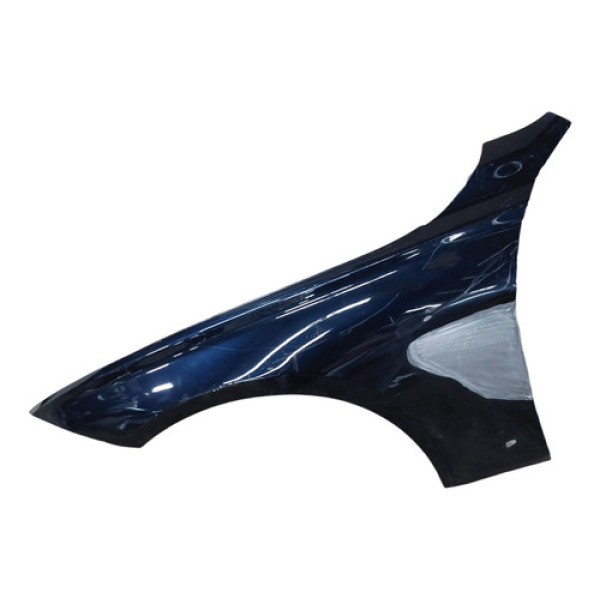 Paralama Esquerdo Bmw 320 2013 A 2018 Recuperado File