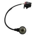 Sensor Detonação Ford Eco Sport New Fiesta 1.5   2015 /18