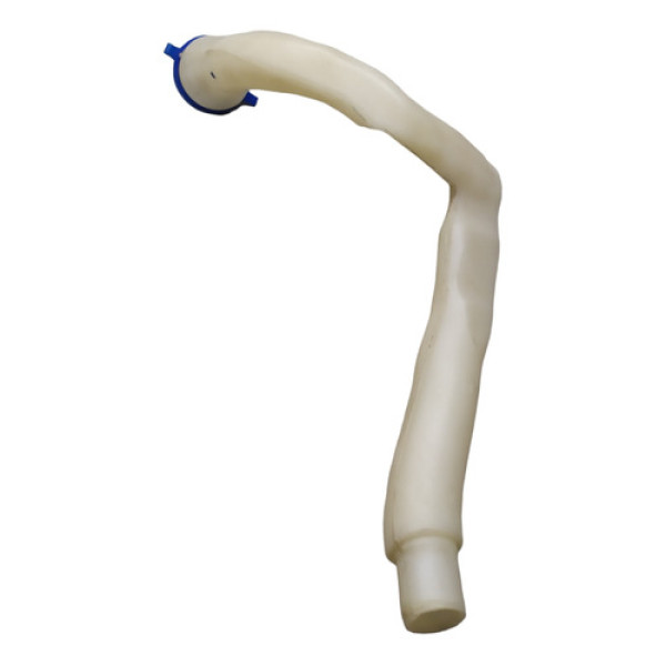 Gargalo Reservatorio Agua Parabrisa C4 Cactus 2019 A 2023